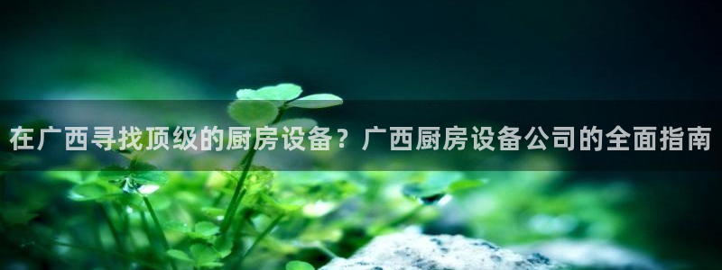 尊龙凯时电竞：在广西寻找顶级的厨房设备？广西厨房设备公司的全