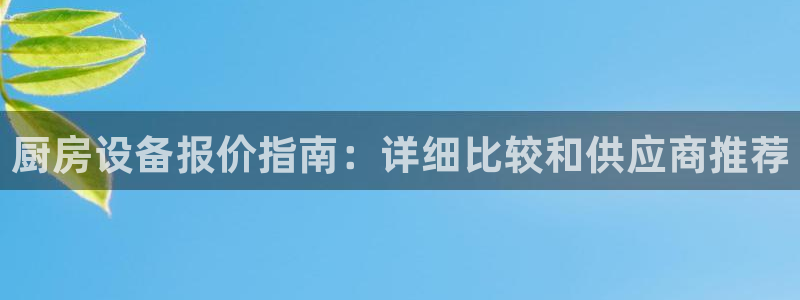 尊龙旗舰厅：厨房设备报价指南：详细比较和