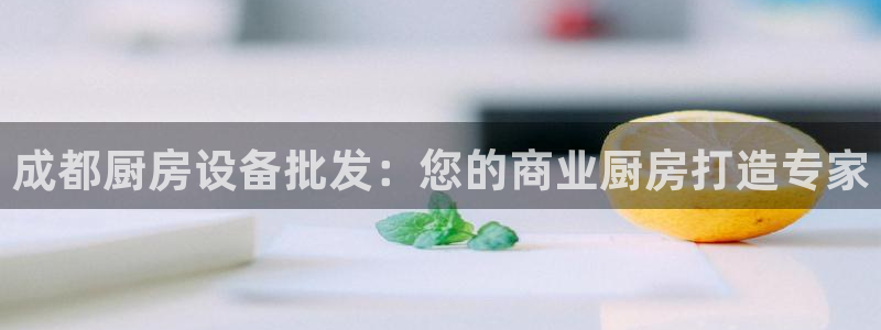 尊龙旗舰厅app：成都厨房设备批发：您的商业厨房打造专家