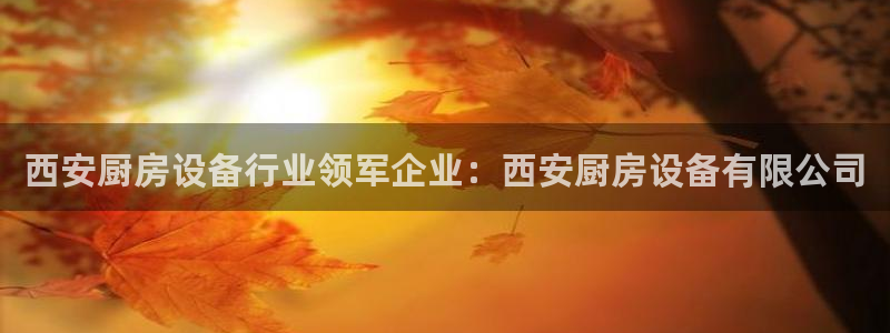 KB88凯时官网：西安厨房设备行业领军企业：西安厨房设备有限